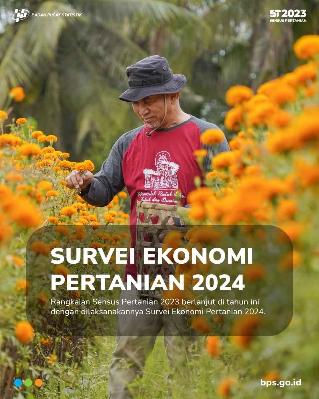 The Agricultural Economic Survey 2024 (SEP 2024)